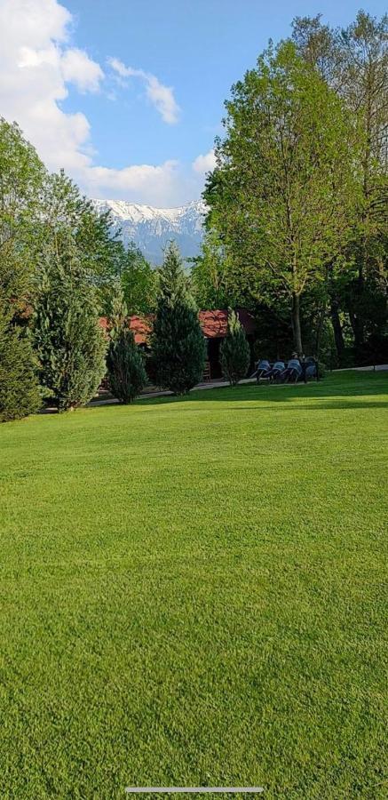 Garden Retreat (Adults Only) Hotel Bran  Eksteriør billede